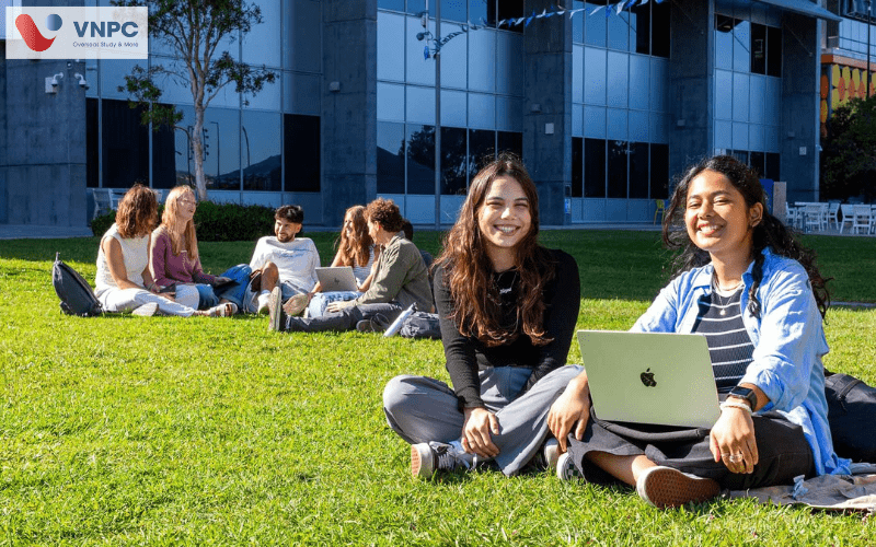 southern cross university
